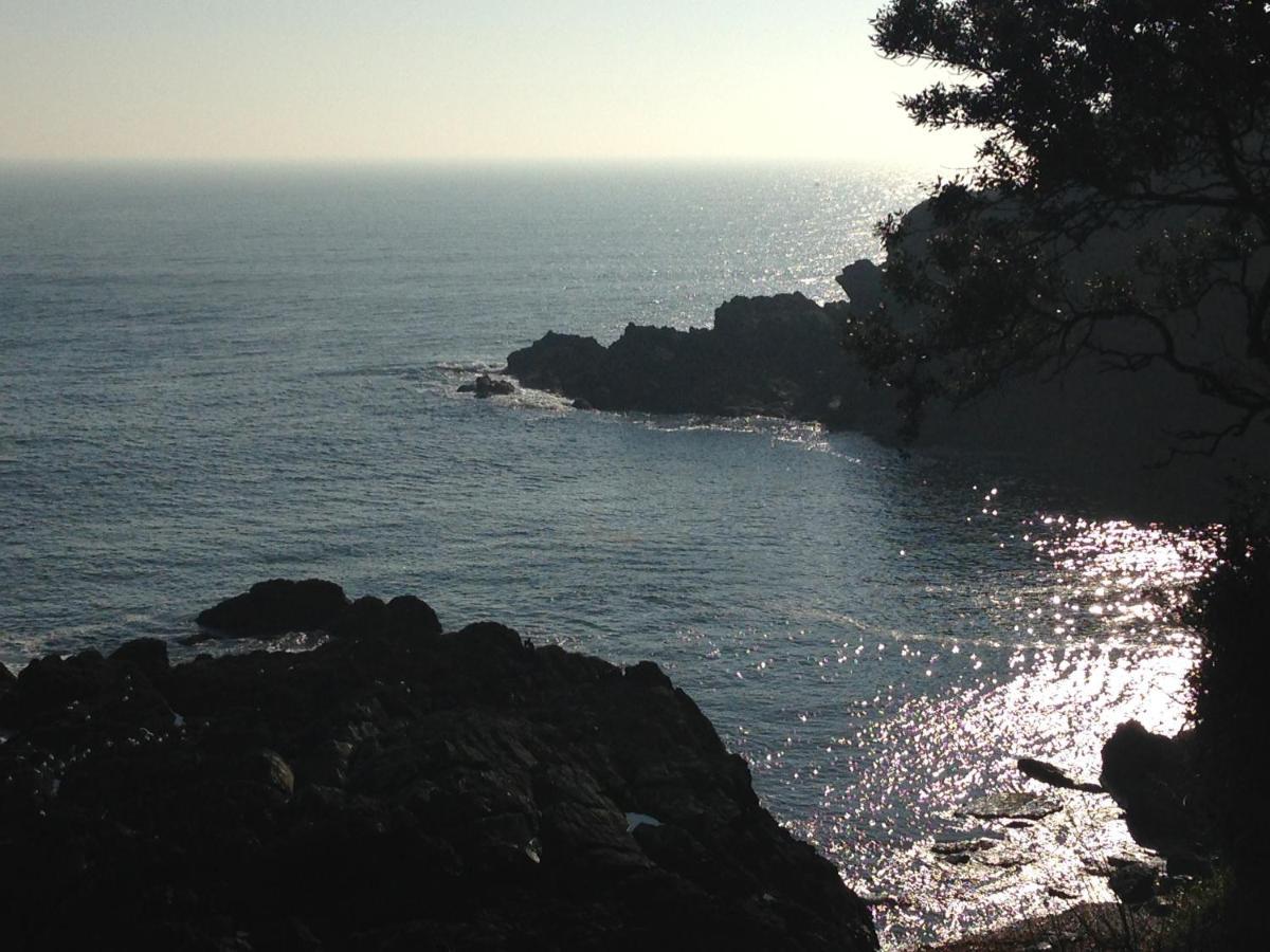 فيلا Bay View, Millendreth Looe Cornwall المظهر الخارجي الصورة